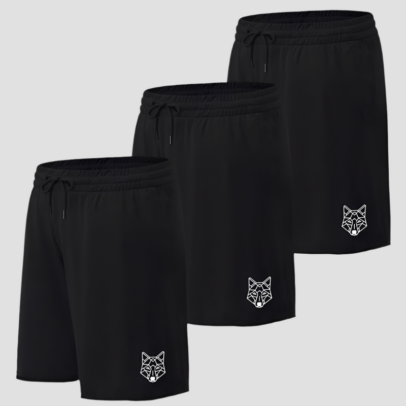 Kit 3 Shorts Pretos Dry Fit Lobo