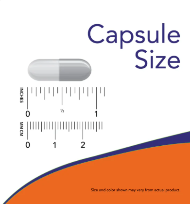 Gaba 500mg 100 Caps Veg Now Sports