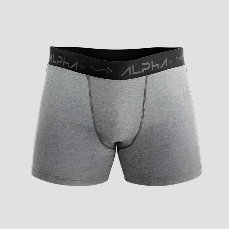 Cueca Boxer Alpha Co Mescla Cinza
