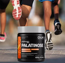 Palatinose 400g Dux Nutrition