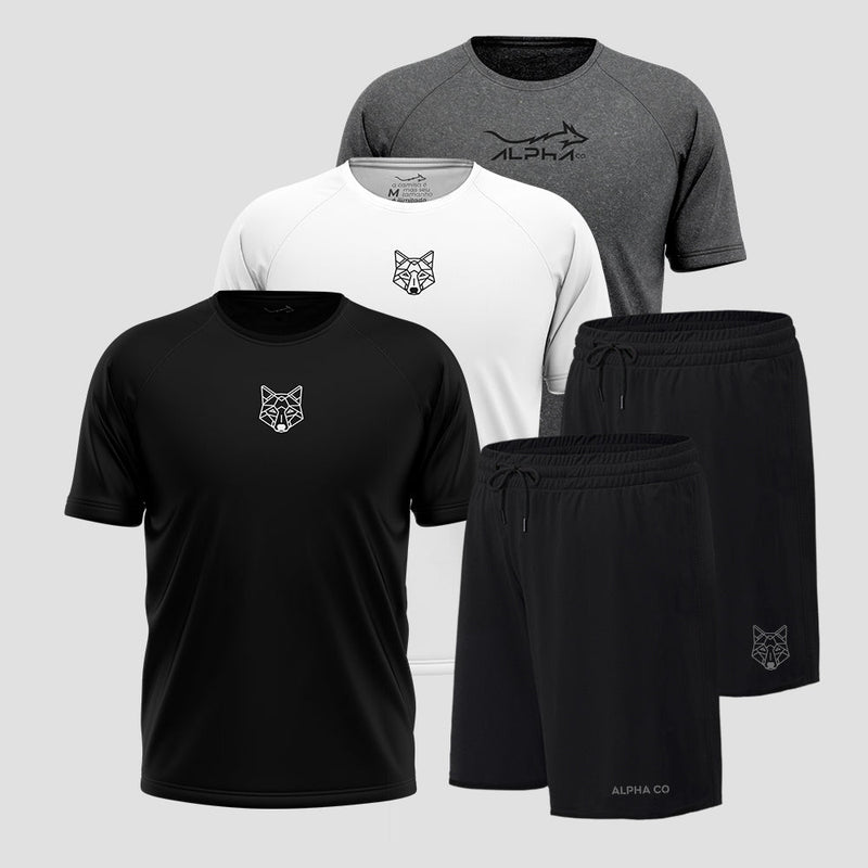 Kit 5 Peças Dry Fit: 3 Camisetas + 2 Shorts