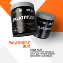 Palatinose 400g Dux Nutrition