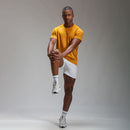 Camiseta Dry Fit ALP Ocre